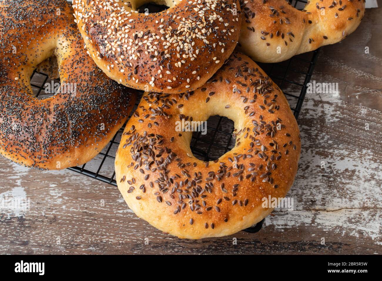 bagel fatti in casa Foto Stock