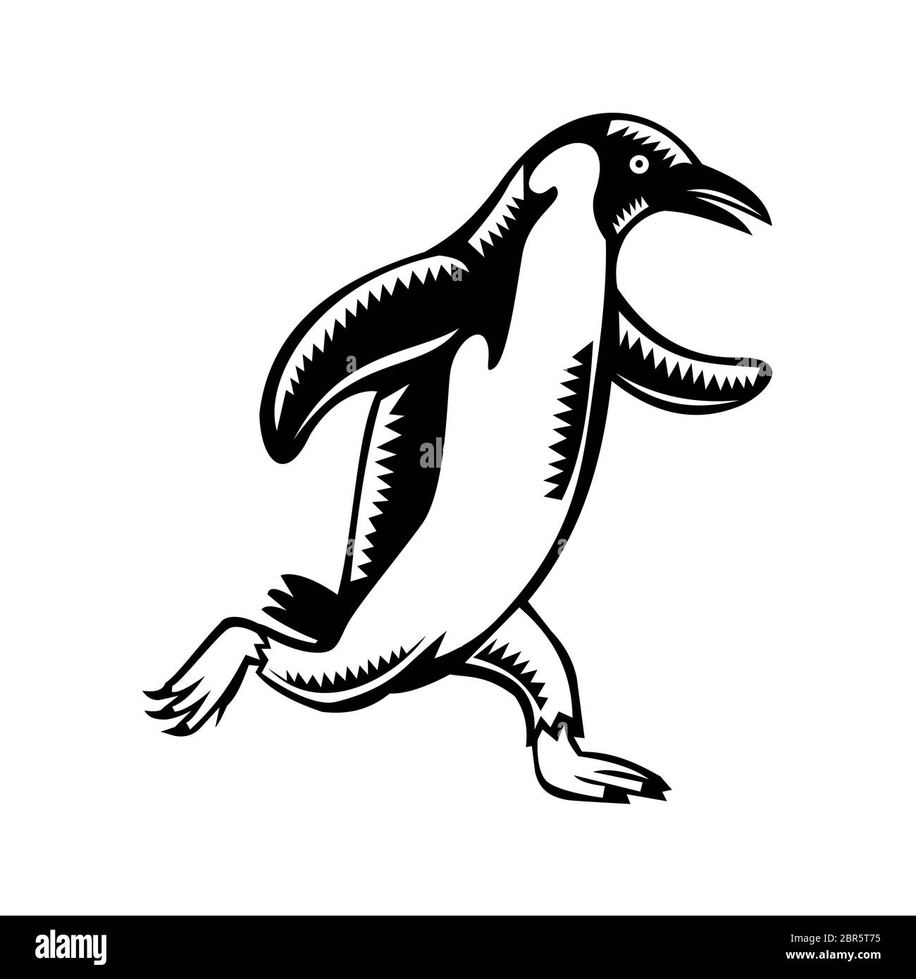 Retrò stile xilografia illustrazione di un pinguino Gentoo maratoneta in esecuzione osservata dal lato su sfondo isolato fatto in bianco e nero. Foto Stock