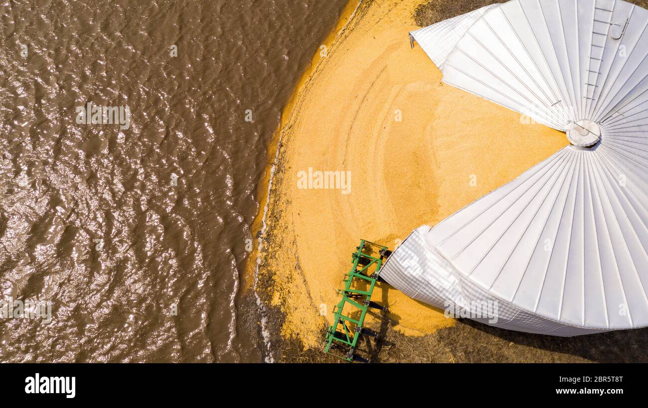 Acqua riempie i campi dopo un argine si rompe in Pacific Junction, Iowa Foto Stock