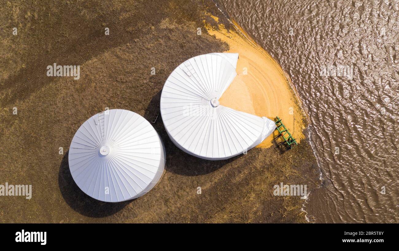 Acqua riempie i campi dopo un argine si rompe in Pacific Junction, Iowa Foto Stock