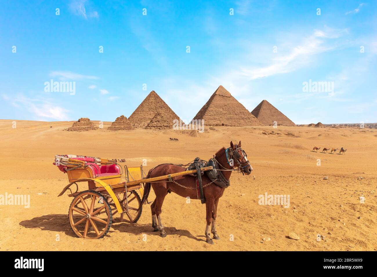 Un cavallo con il carrello nella parte anteriore delle grandi piramidi di Giza in Egitto. Foto Stock
