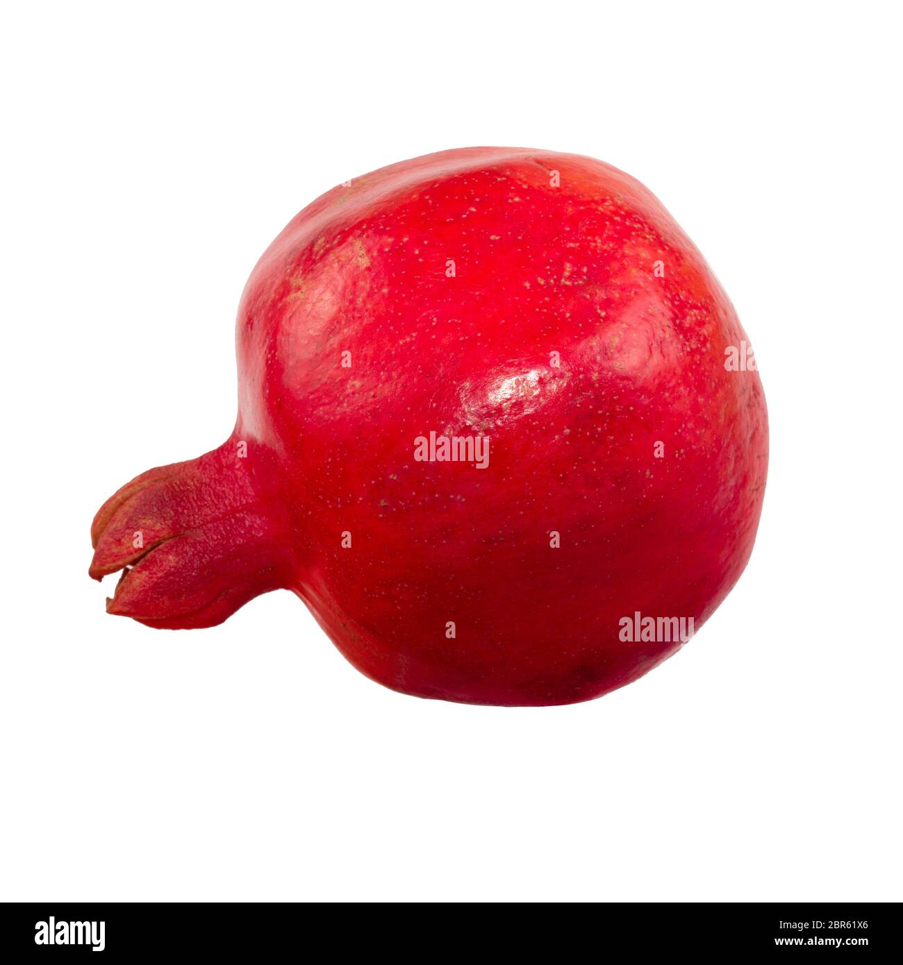 Melograno isolato. Un frutto intero di melograno isolato su sfondo bianco. Frutta fresca cruda. Vista laterale Foto Stock