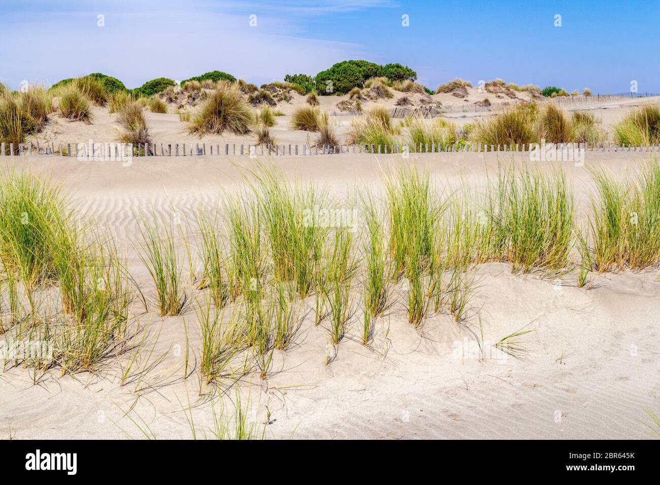 Scenario soleggiato presso la spiaggia Espiguette nel sud della Francia Foto Stock