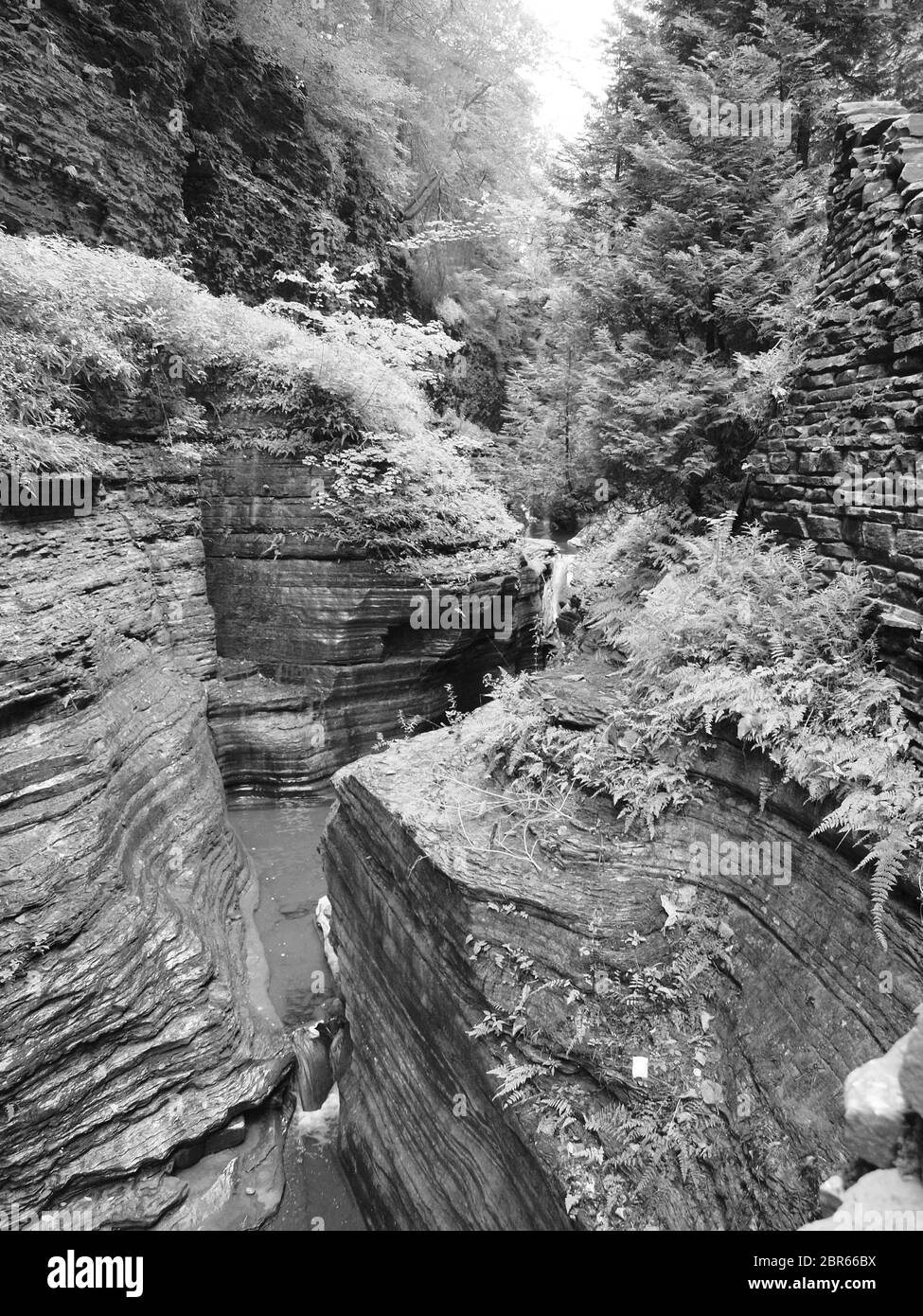 Watkins Glen Water cade nel Watkins Glen state Park di New York. Questo vista è una destinazione di viaggio per migliaia di anni. Foto Stock