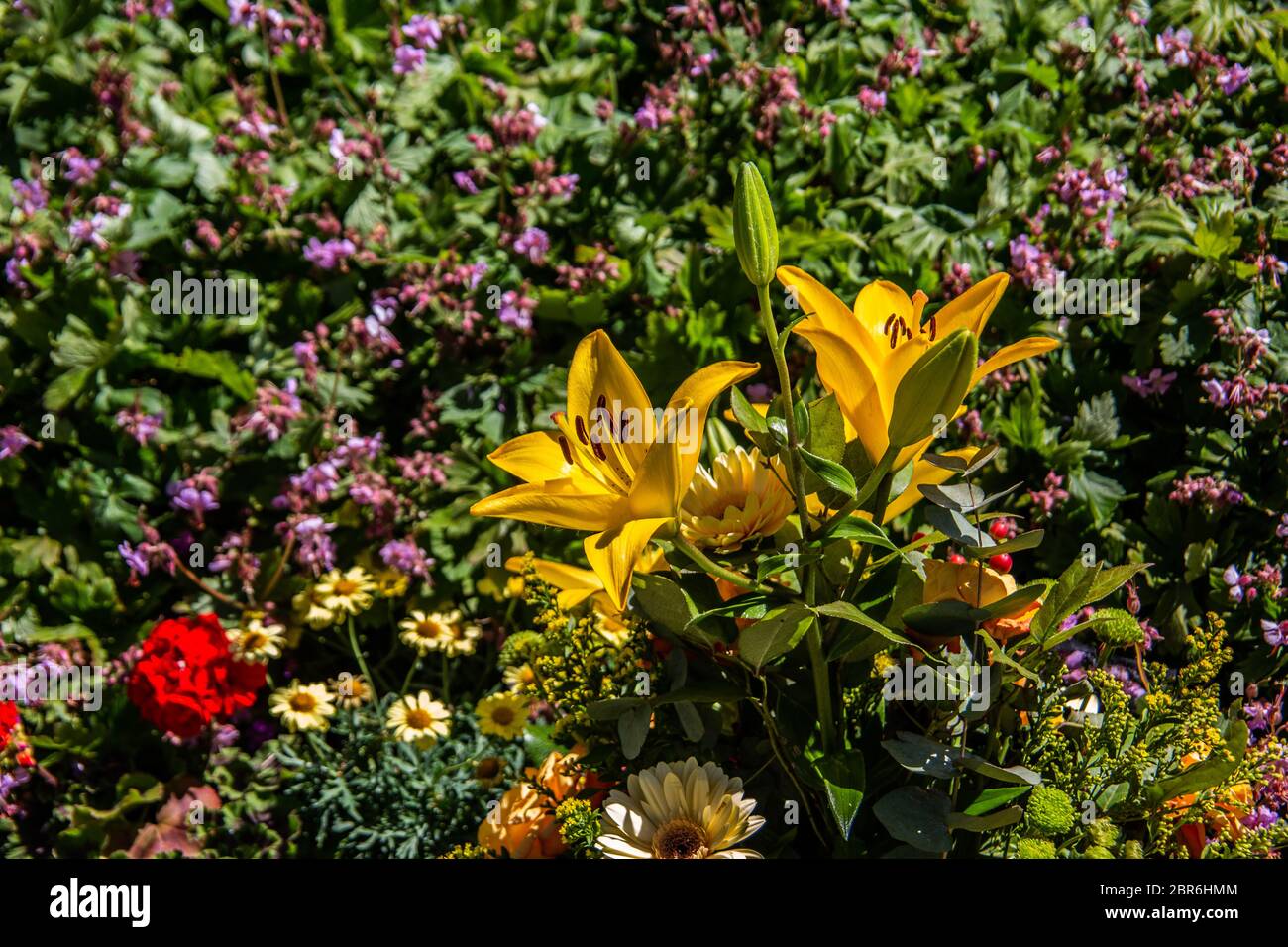 Bella giallo verde bouquet con gigli e rose Foto Stock