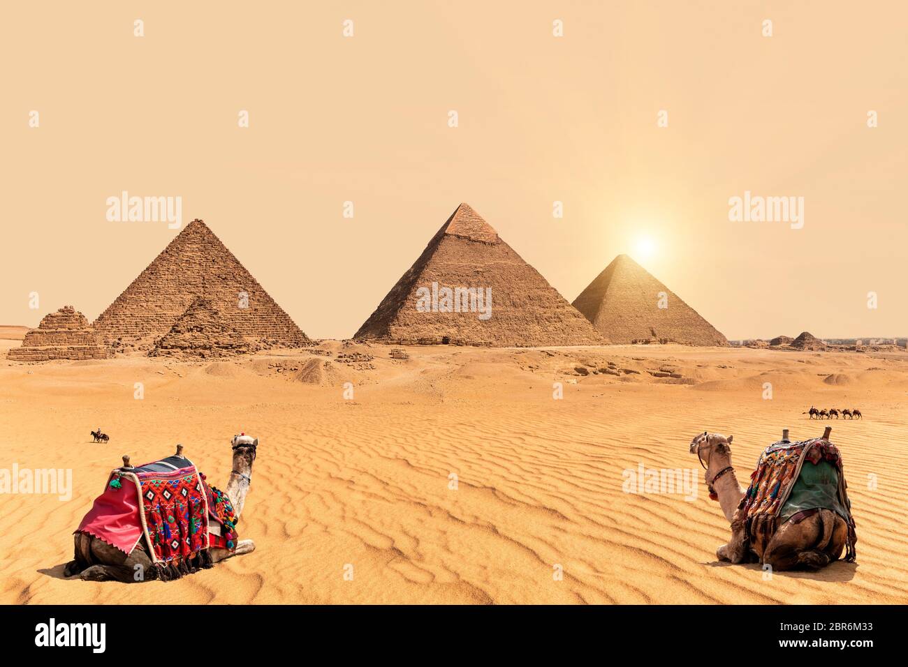 Le Piramidi e cammelli nel deserto di Giza in Egitto. Foto Stock