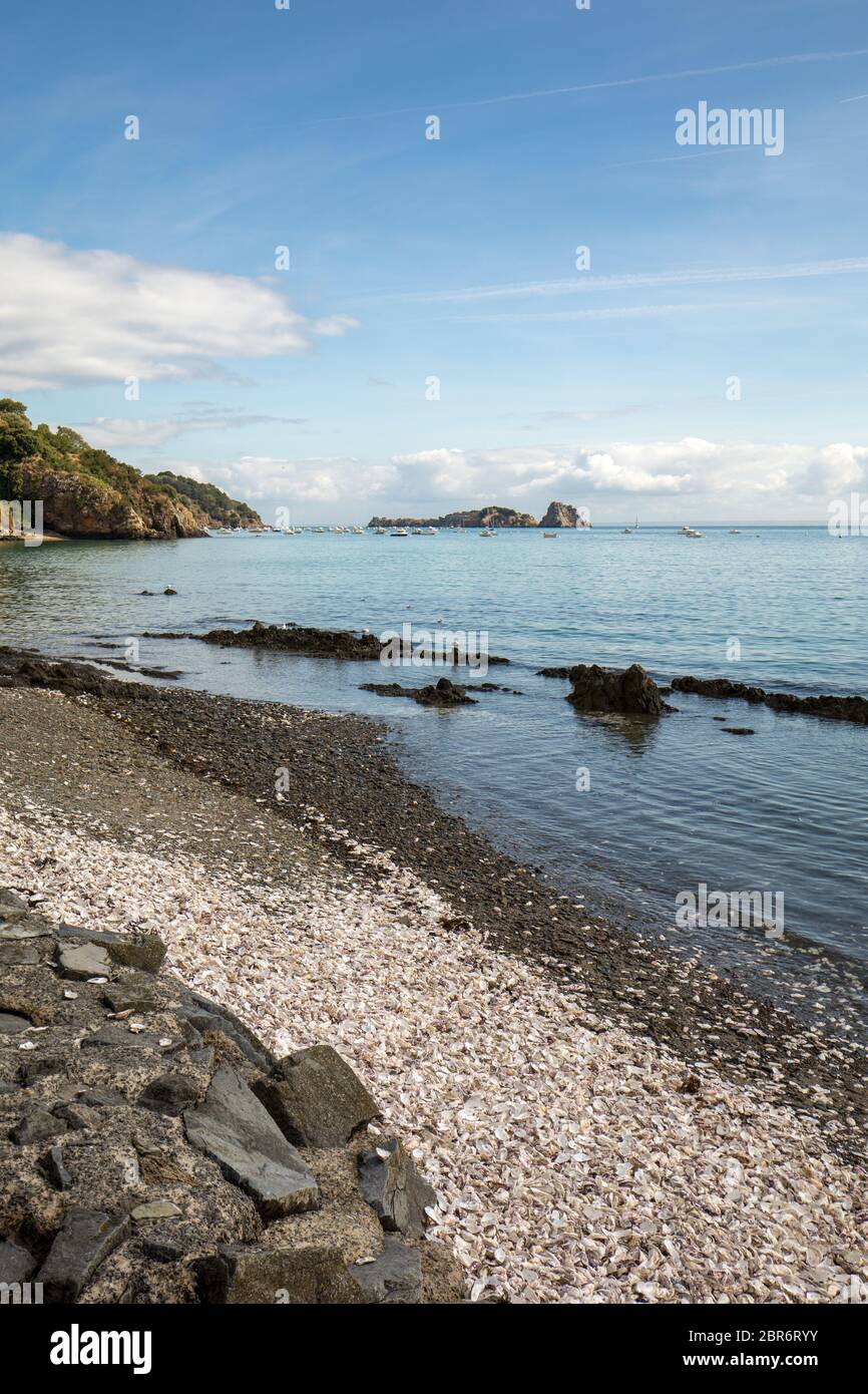 Migliaia di gusci vuoti di ostriche mangiato gettato sul pavimento del mare a Cancale, famoso per allevamenti di ostriche. Brittany, Francia Foto Stock