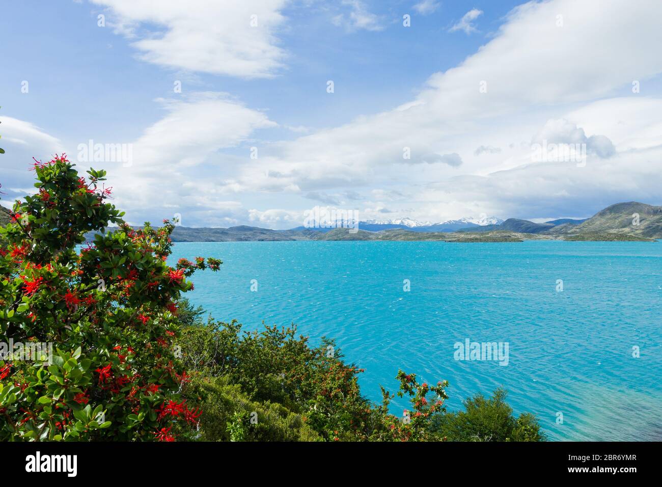 Il lago di Pehoe, vista parco nazionale Torres del Paine, Cile. Patagonia Cilena paesaggio Foto Stock