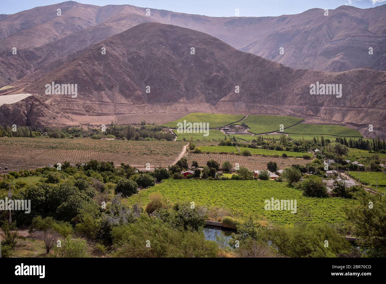 Pisco Elqui (früher La Greda und La Unión) ist ein chilenisches Dorf im Elqui-Tal, das in der Kommune Paihuano in der Región de Coquimbo liegt. Die en Foto Stock