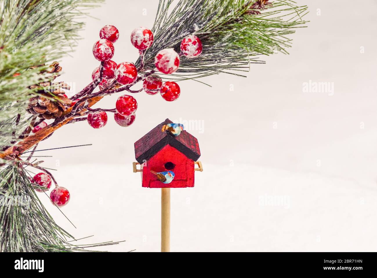 Neve fresca caduta sullo sfondo con falsi rami di pino, bacche e due uccelli arroccati su una piccola casa di uccelli rossi Foto Stock
