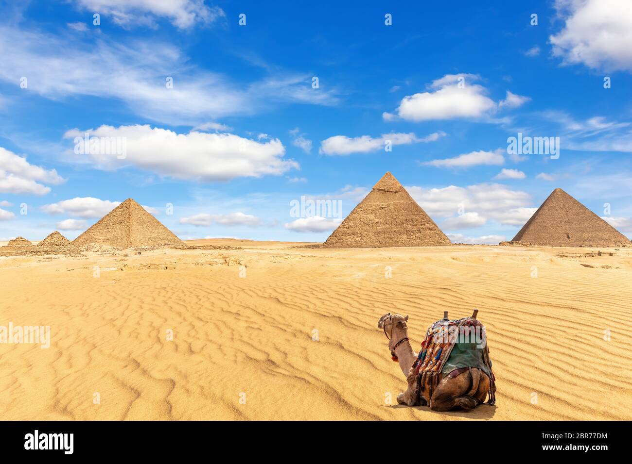 Le Piramidi di Giza e un cammello nella sabbia, Egitto. Foto Stock