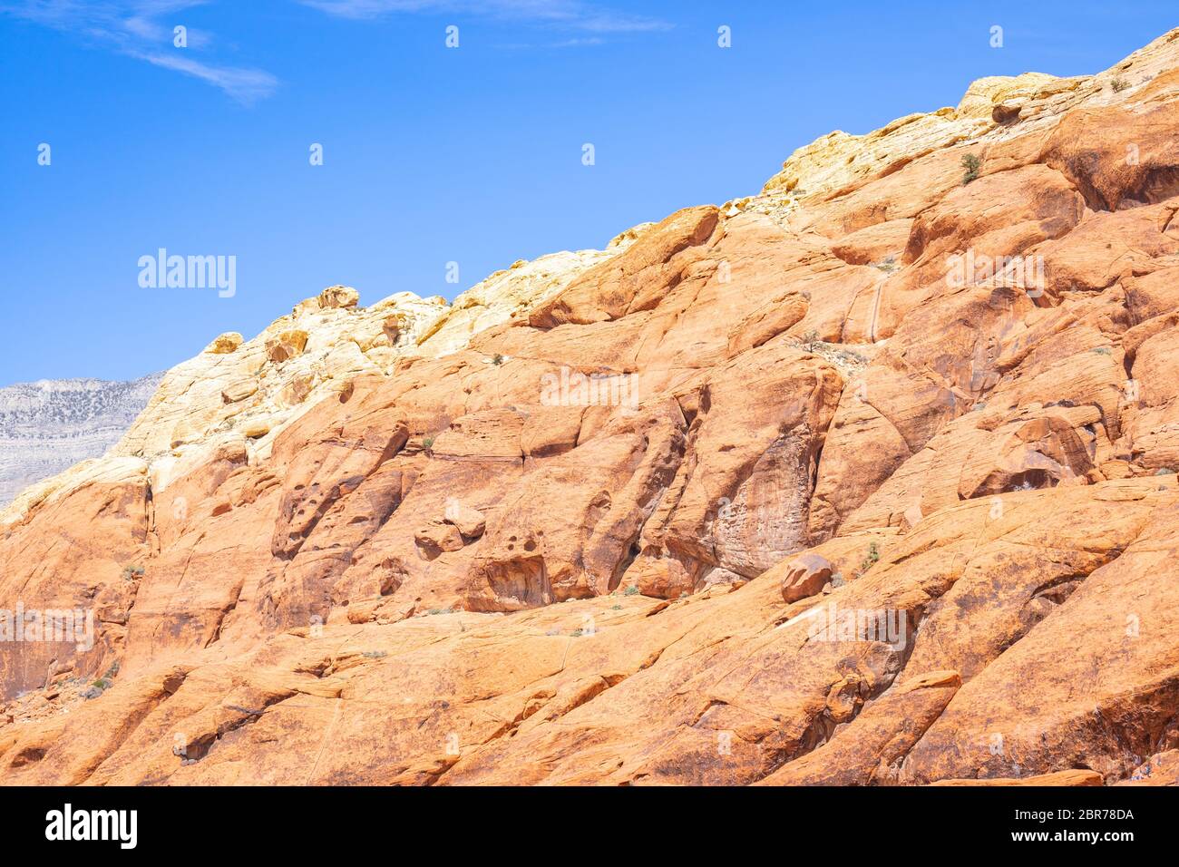 Il Red Rock Canyon National Conservation Area in Las Vegas Nevada USA Foto Stock