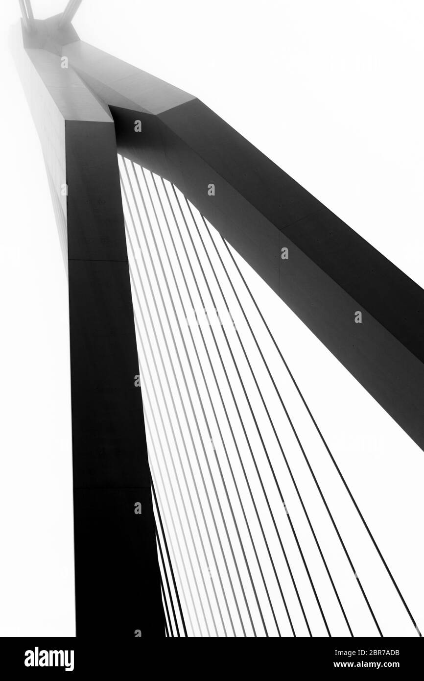 ponte rotterdam nero e bianco erasmusbrug erasmus paesi bassi astratto bianco e nero Foto Stock
