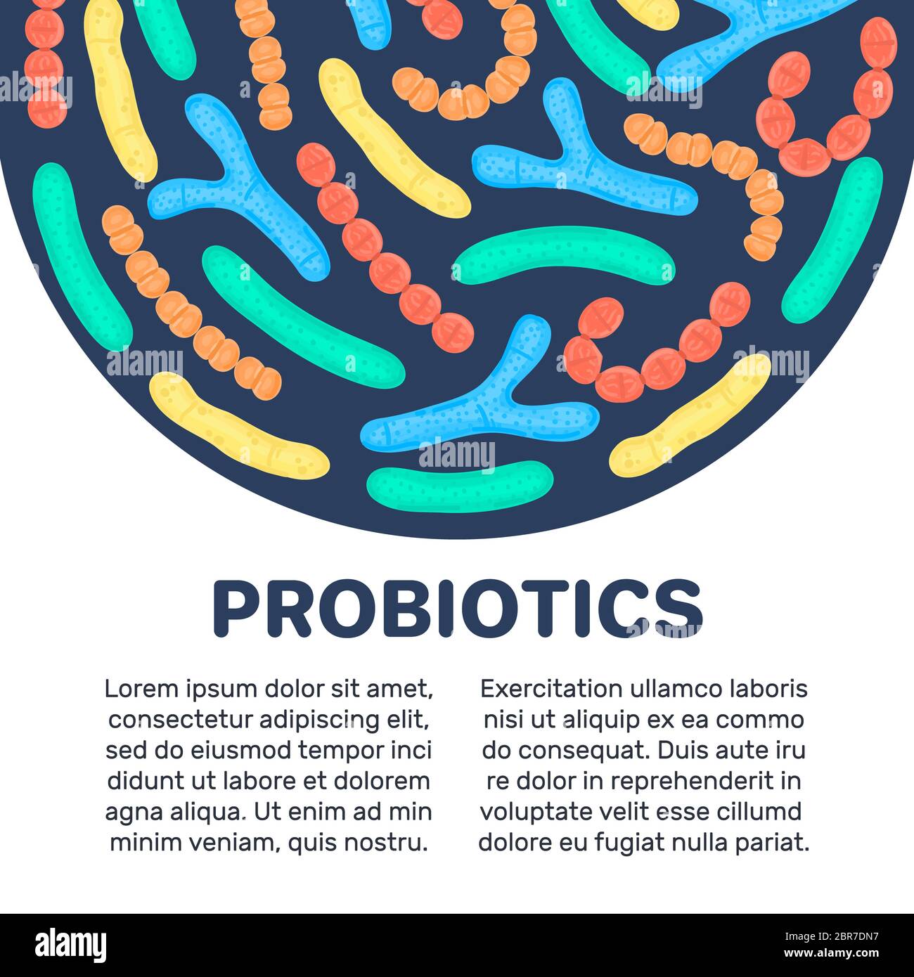 probiotici con bifidobacterium e lactobacillus
