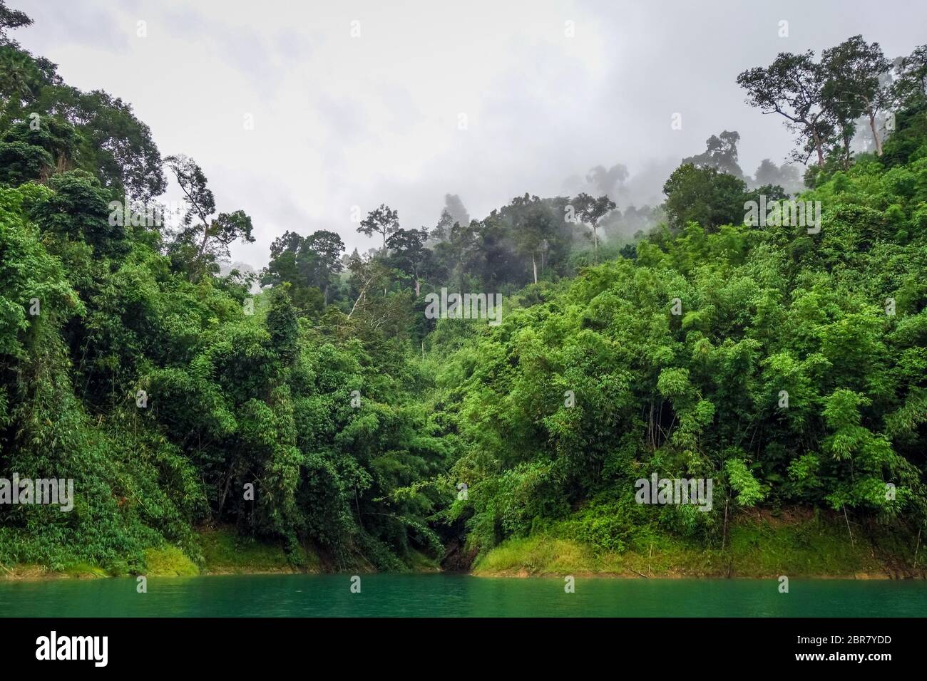 Foschia mattutina sulla Lan Cheow Lago in Khao Sok National Park, Thailandia Foto Stock