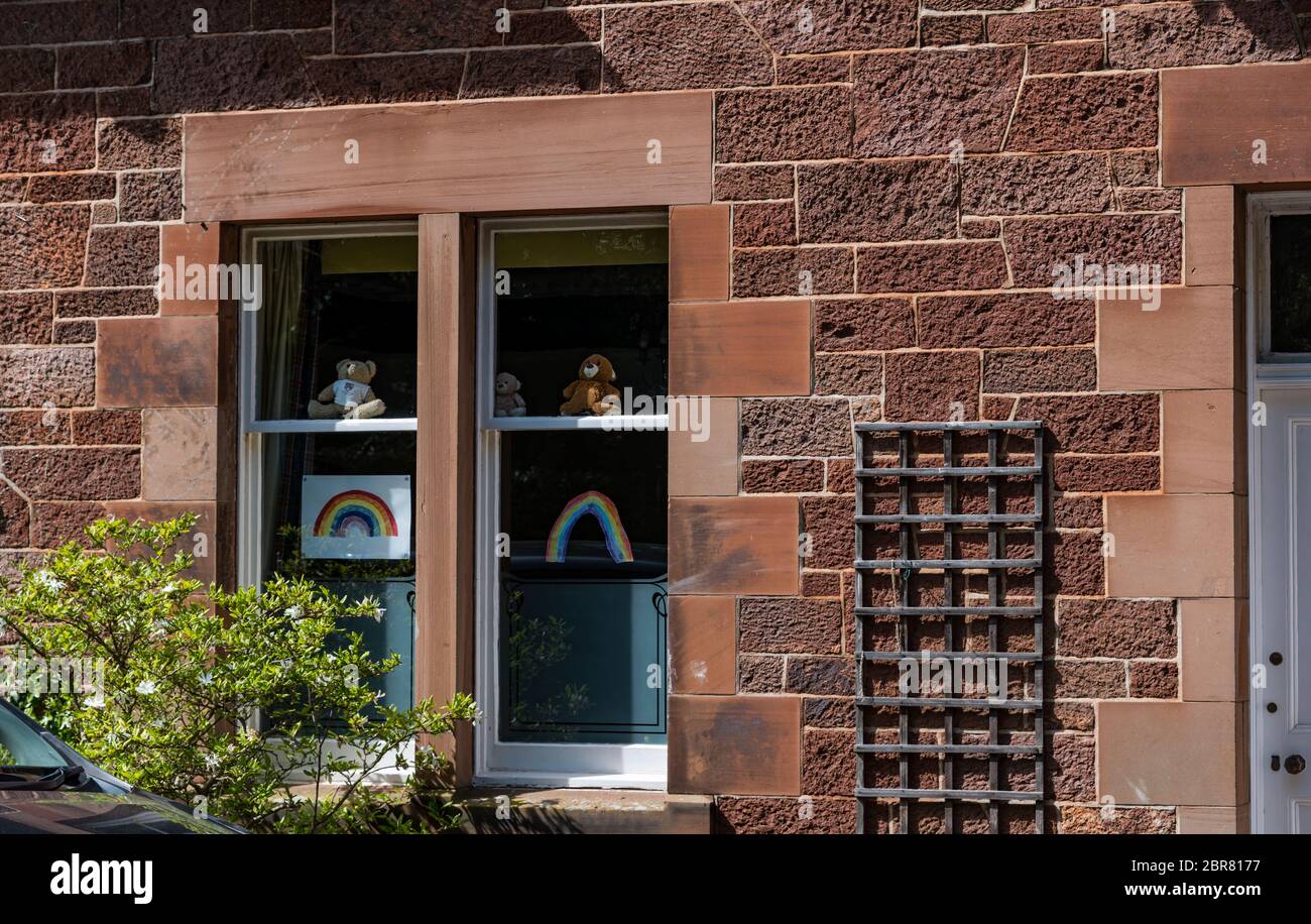 Disegni arcobaleno & orsacchiotti in vetrina nel Covid-19 Coronavirus pandemic lockdown, North Berwick, East Lothian, Scotland, UK Foto Stock