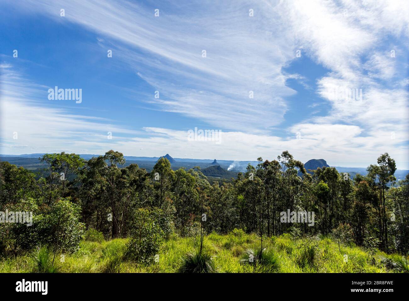 Visualizzazione più ampia di alcune montagne della casa di vetro Mountains National Park, da sinistra a destra il Monte Beerwah, Mount Coonowrin, Mount Tibberoowuccum e M Foto Stock