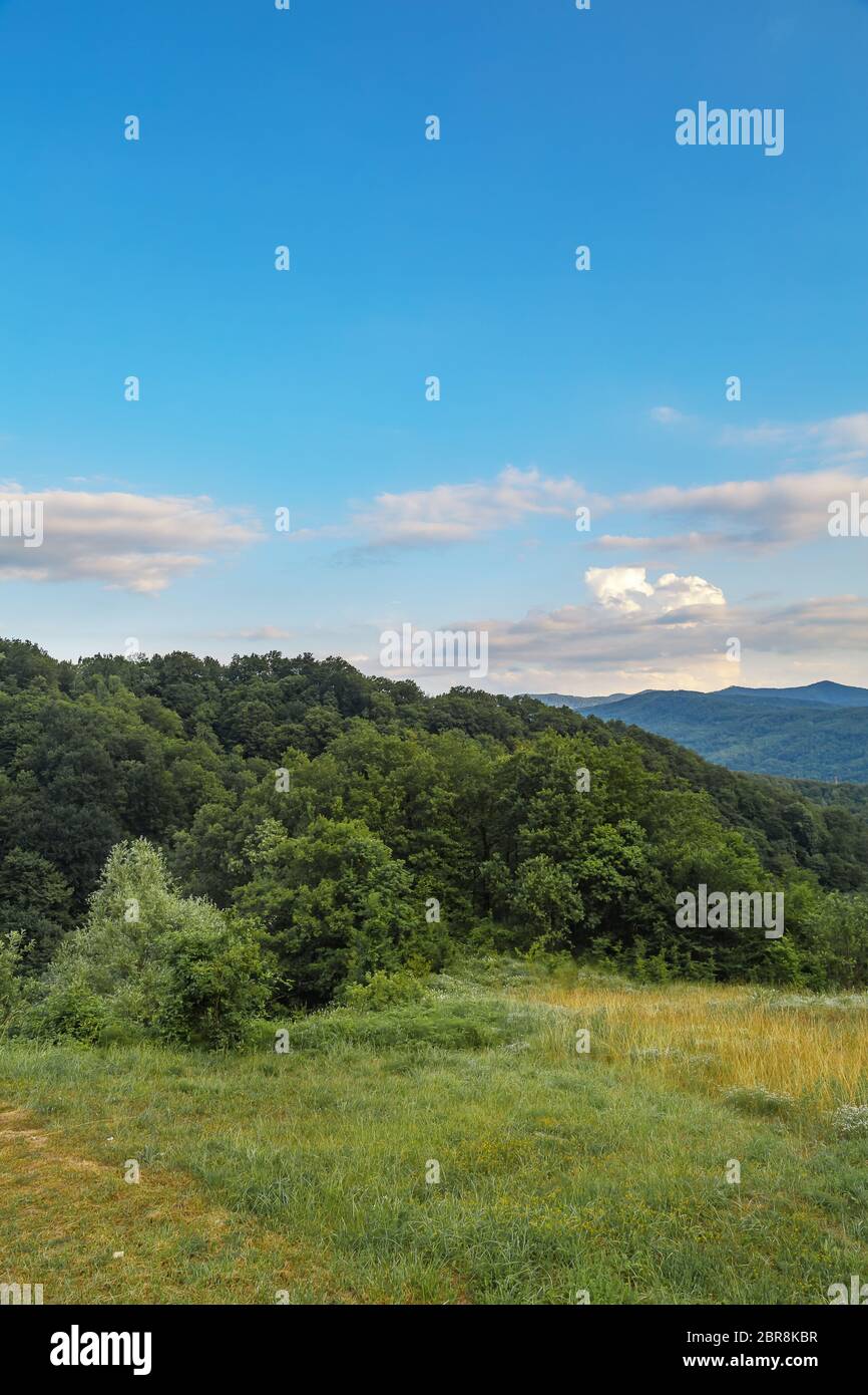 Bellissima vista del Guam gorge, Regione Krasnodar, Russia. Alberi e montagne sul lato. Bellissimo sfondo avventuroso. Foto Stock