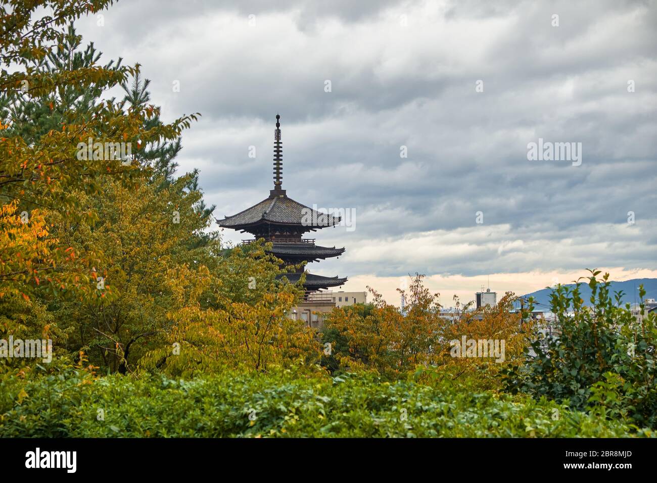 La vista della pagoda di Yasaka (tempio Hokan-ji) circondata dagli alberi autunnali nel mezzo del vecchio quartiere di Kyoto. Distretto di Higashiyama. Kyoto. J Foto Stock
