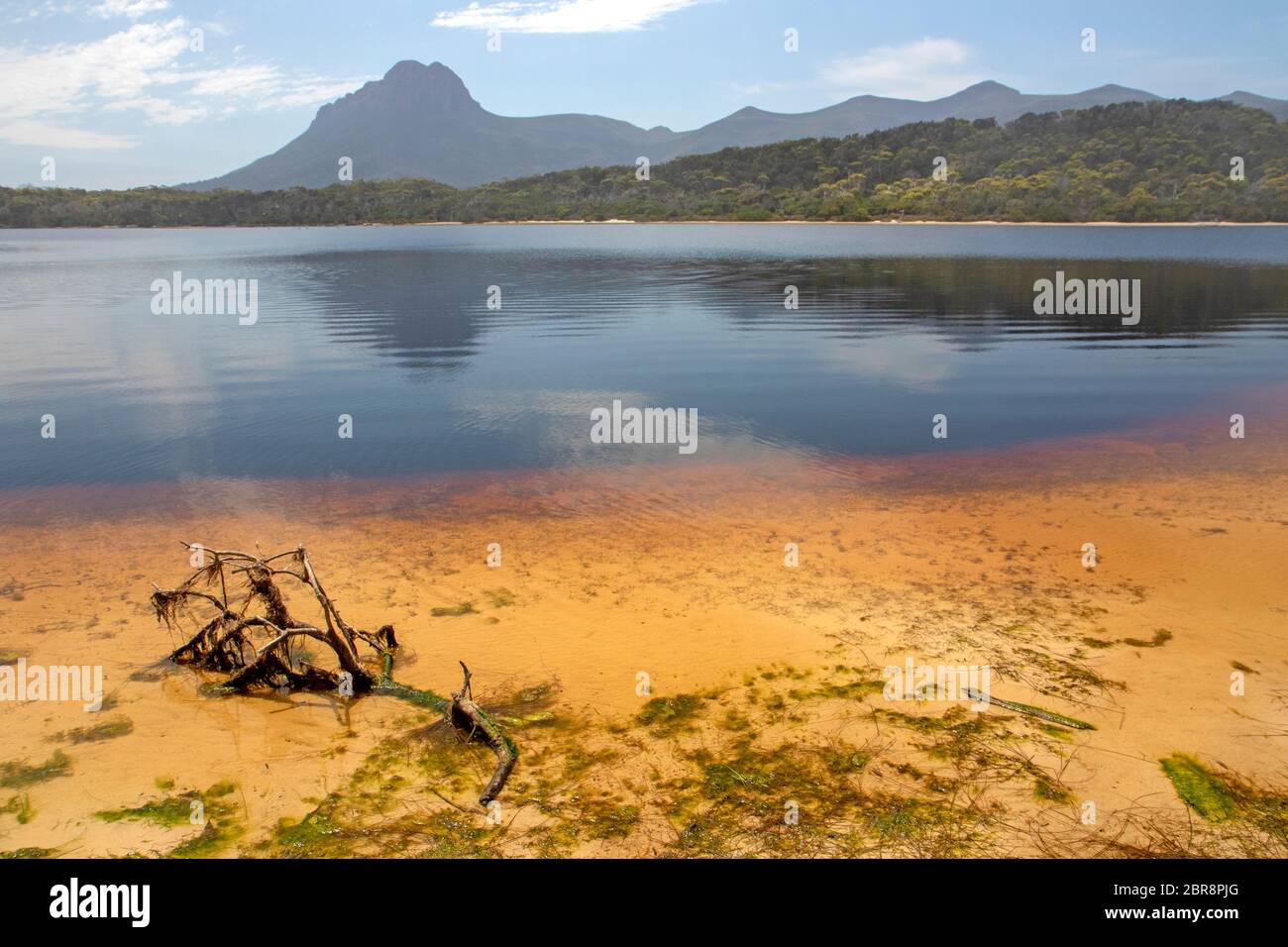 Laguna del Fiume nuovo e Bluff precipitoso Foto Stock