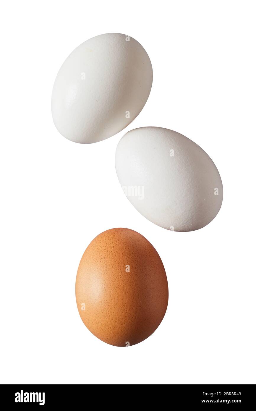 Tre intero crudo o hard boiled marrone e bianco fresco Uova di galline nei loro gusci isolato su bianco Foto Stock