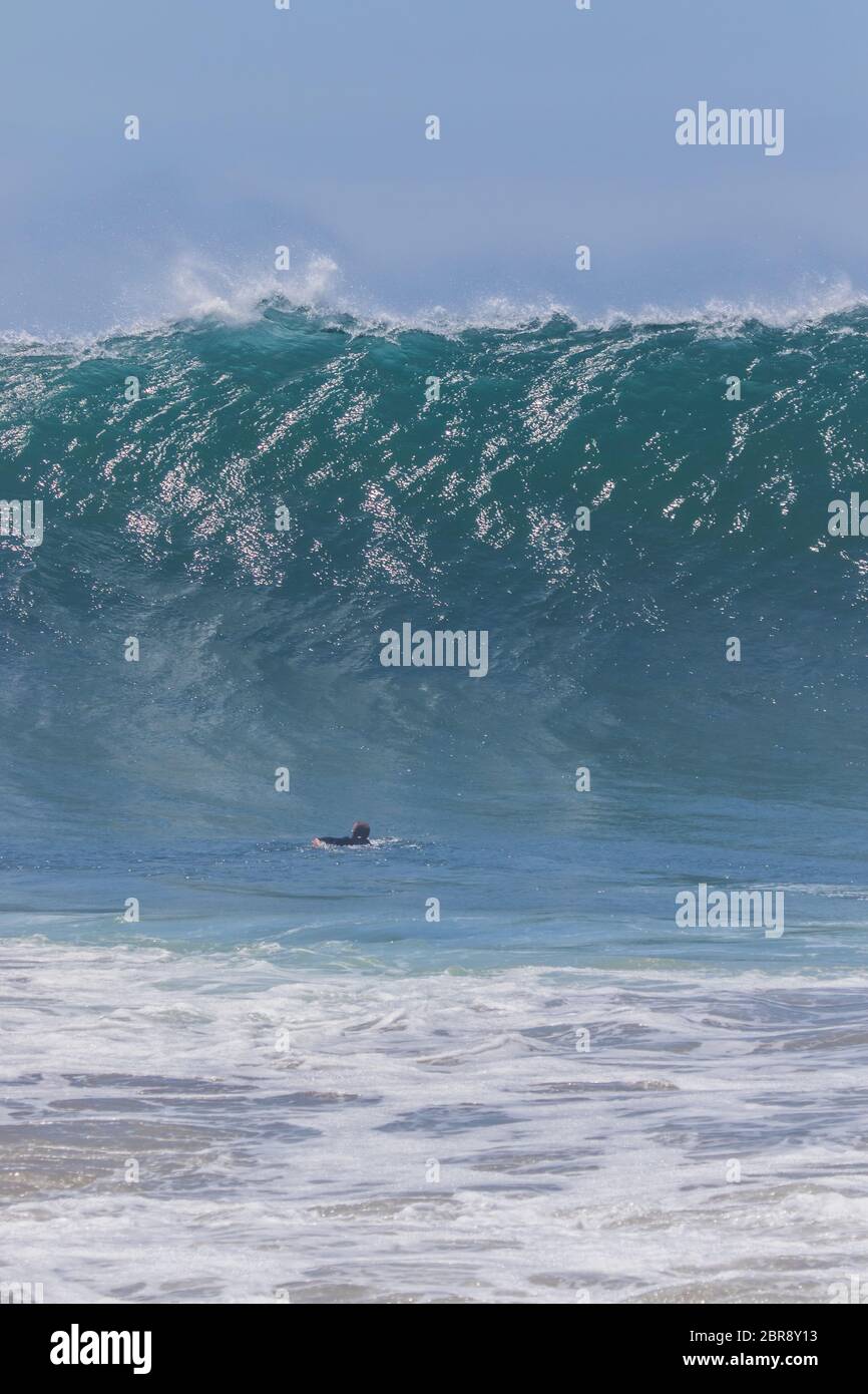 La grande onda si innalza sopra un nuotatore mentre comincia a rompersi alla spiaggia di Newport di Wedge, California, USA Foto Stock