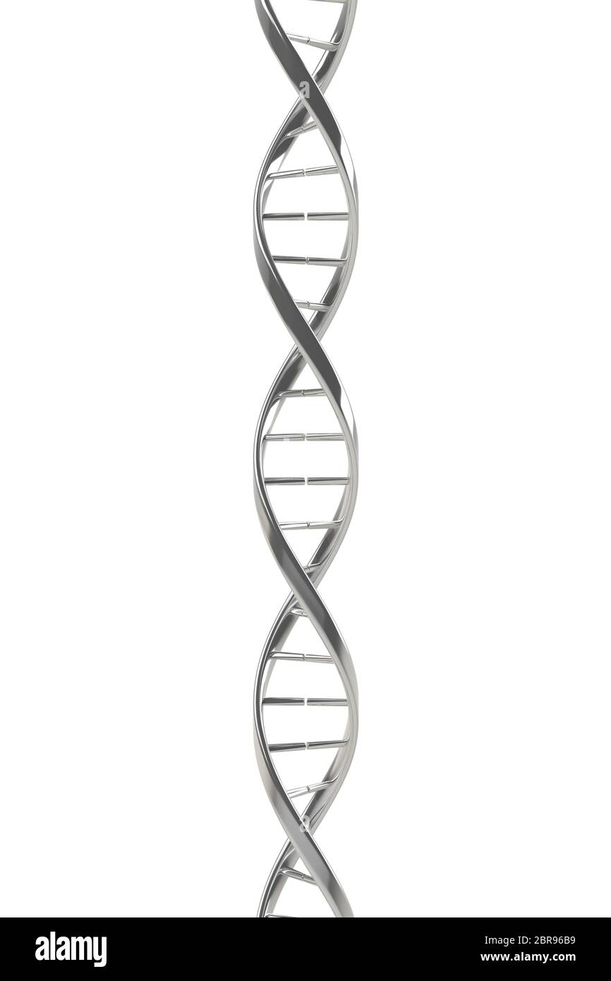 DNA modello di scienza medica Foto Stock