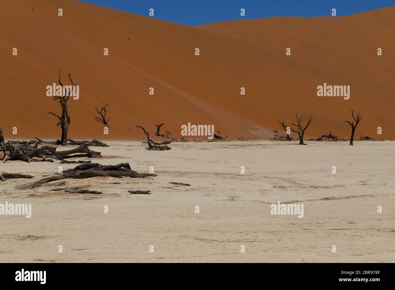 Una vista dal Dead Vlei, Sossusvlei Namibia Foto Stock