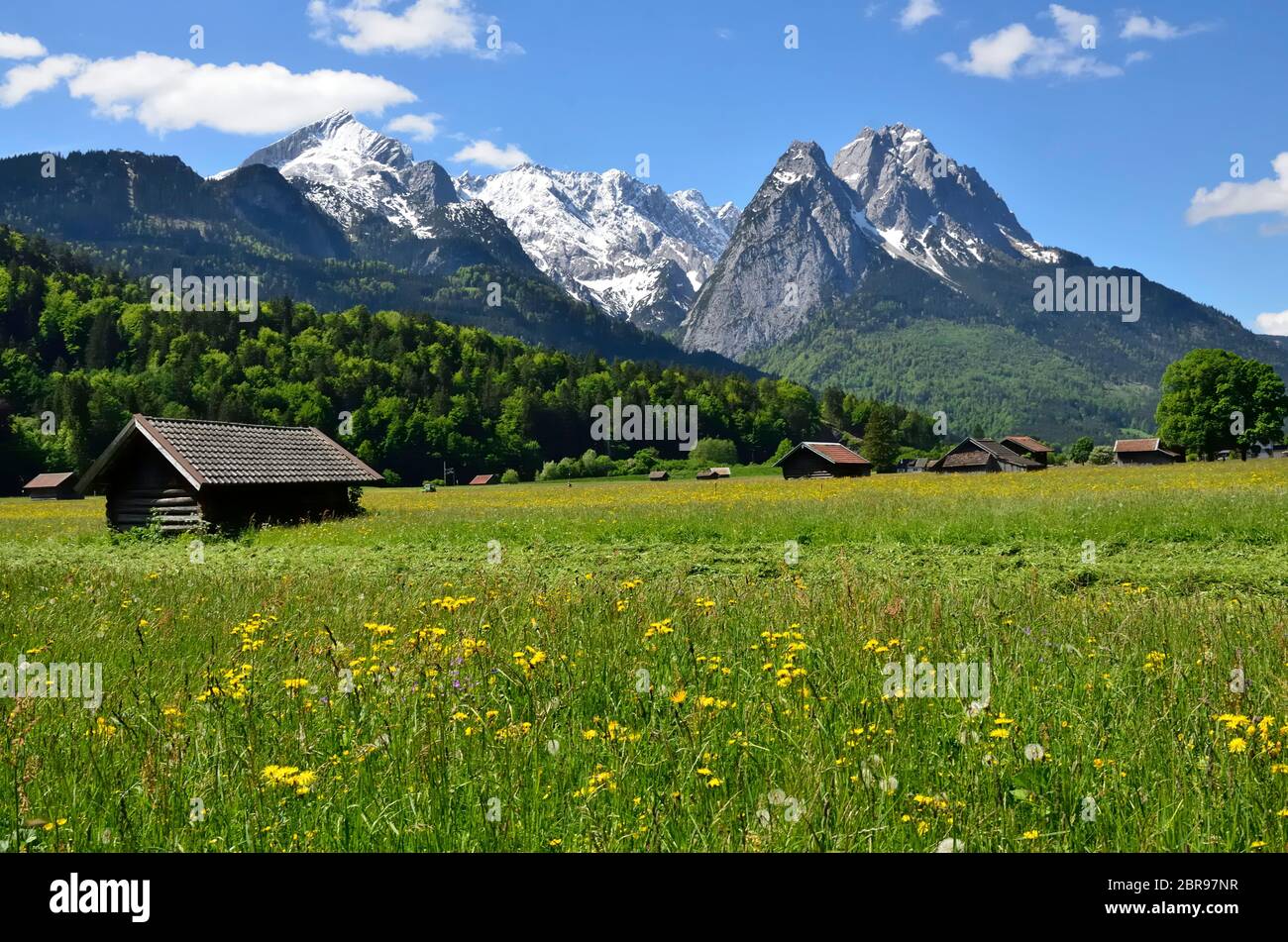 Frühlingswiese vor Alpspitze und Waxenstein, Garmisch-Partenkirchen Foto Stock