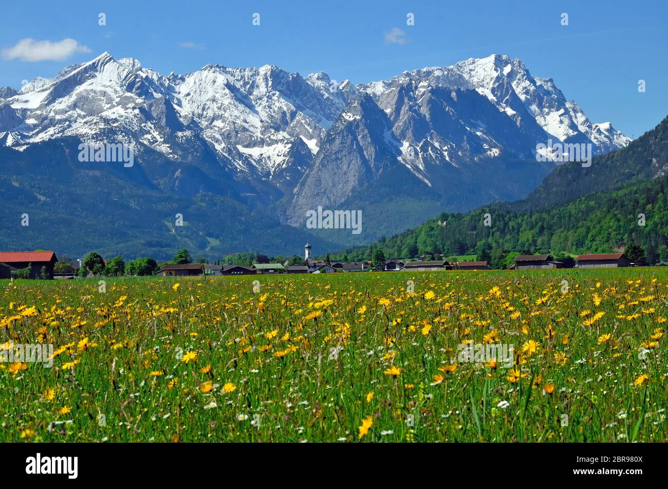 Frühlingswiese vor Wettersteingebirge, Garmisch-Partenkirchen Foto Stock