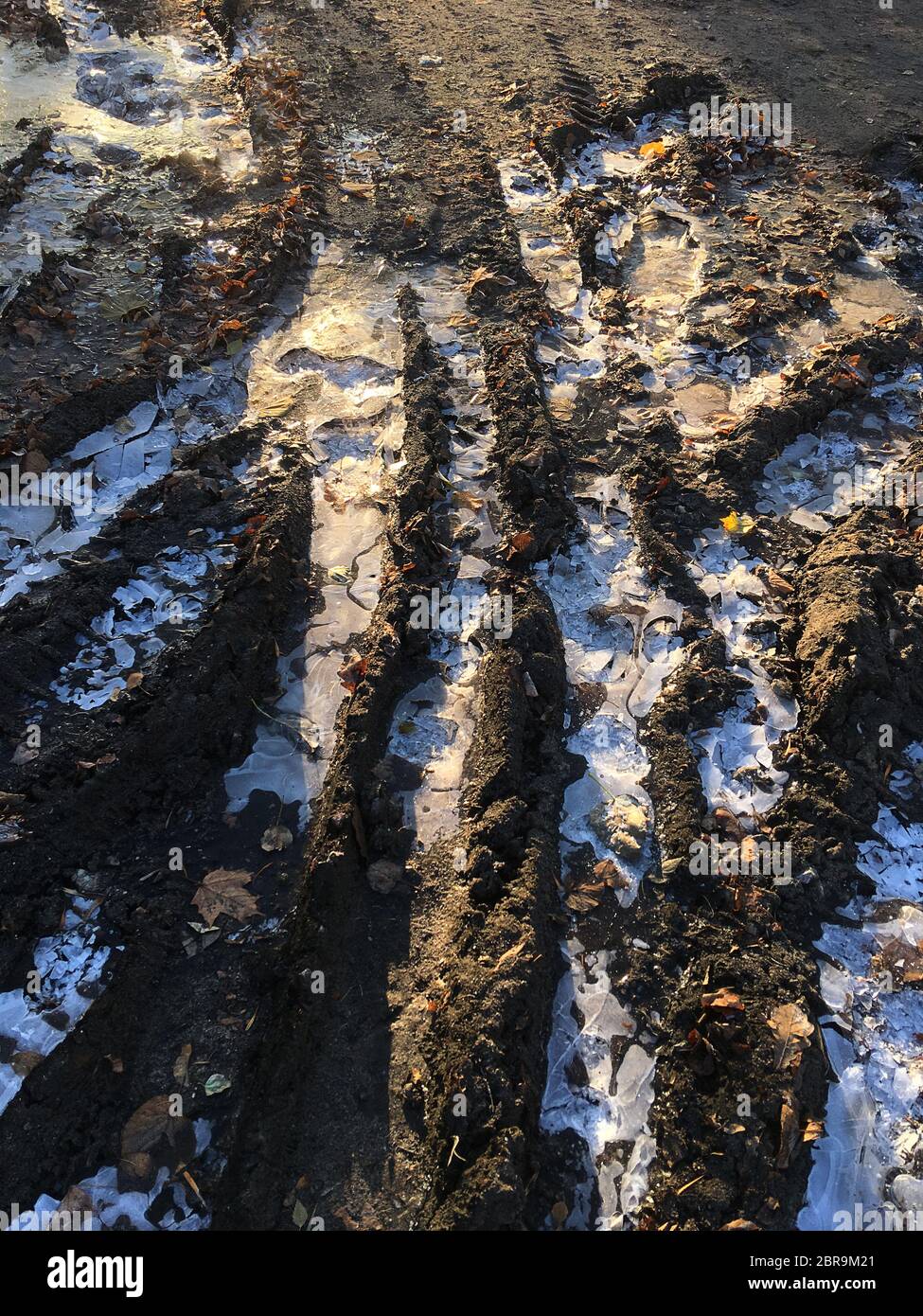 Strada con il suolo ghiacciato e rotto il ghiaccio. Giallo autunno, verde e marrone e foglie. Tracce dalle ruote della vettura. La luminosa luce del sole e la fresca ombra blu Foto Stock