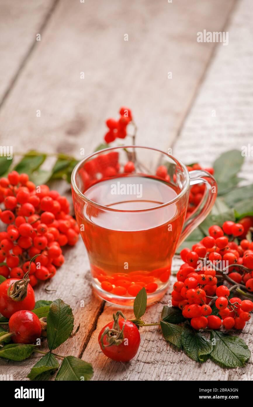 Accogliente foto autunnale invernale con una tazza calda di tè rosso su sfondo di legno vintage, spazio copia. Bevande calde di stagione Foto Stock