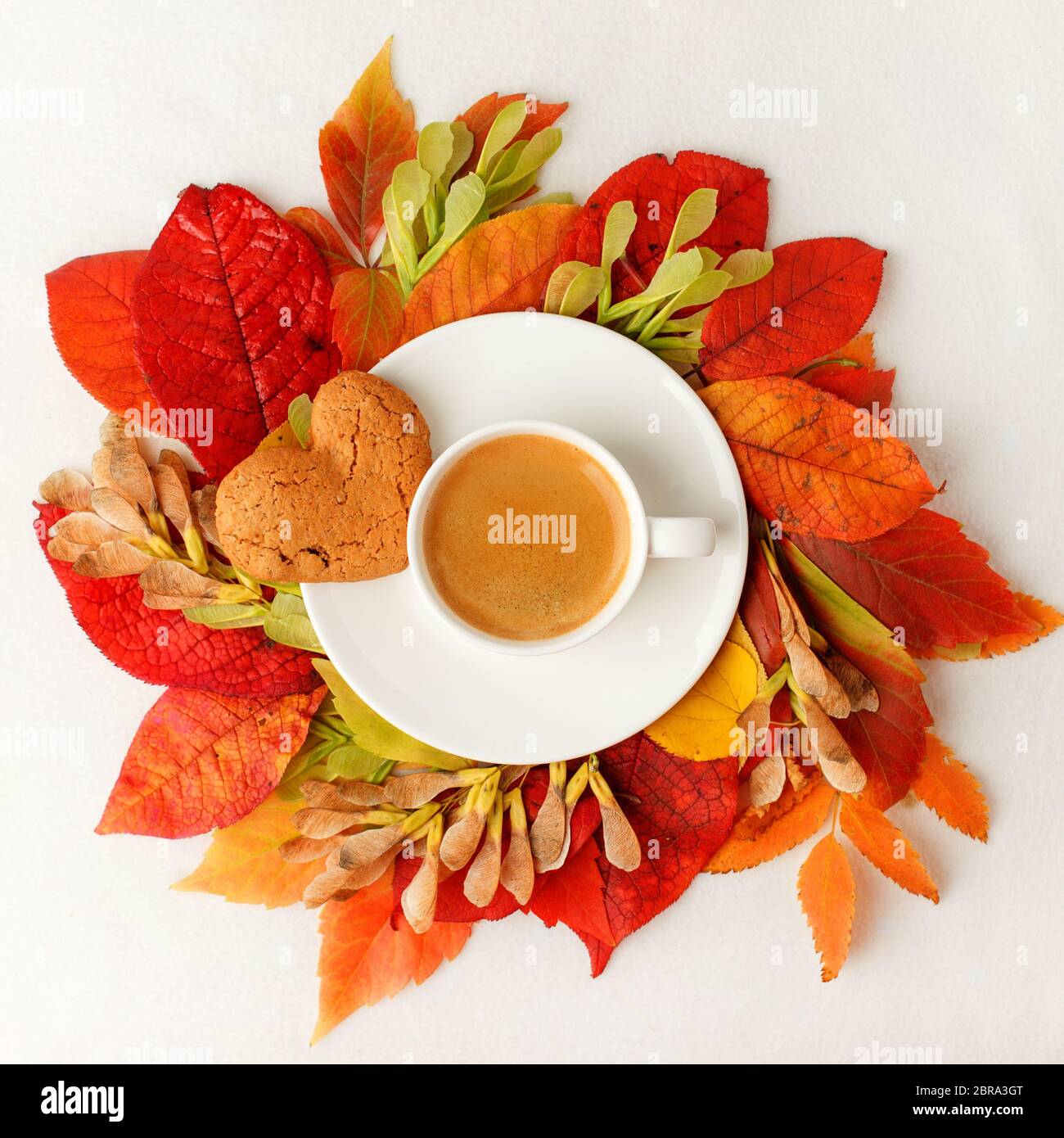 Tazza di caffè e foglie d'autunno su un tavolo bianco, stile piatto stagionale di menu - caffè, caffetteria. Cartolina autunnale brillante Foto Stock