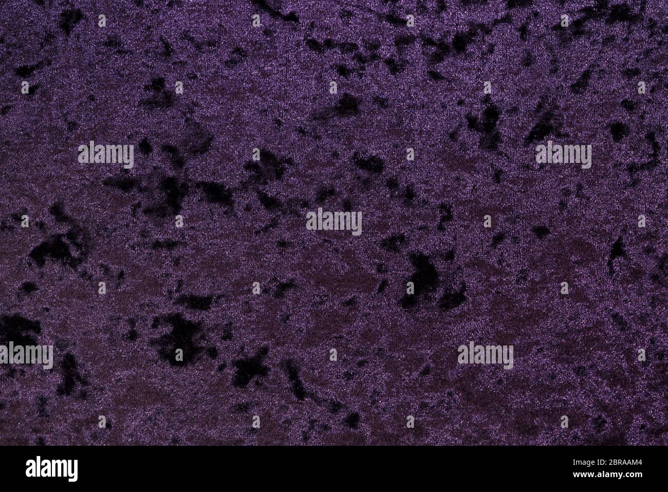 Altamente dettagliate texture di velluto viola panno. Foto Stock