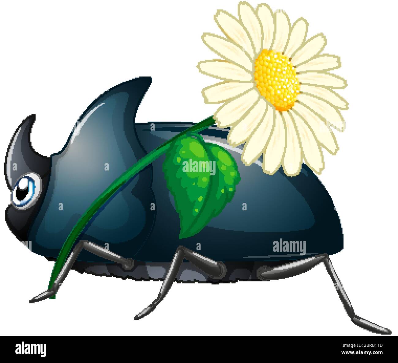 Beetle che tiene fiore su sfondo bianco illustrazione Illustrazione Vettoriale