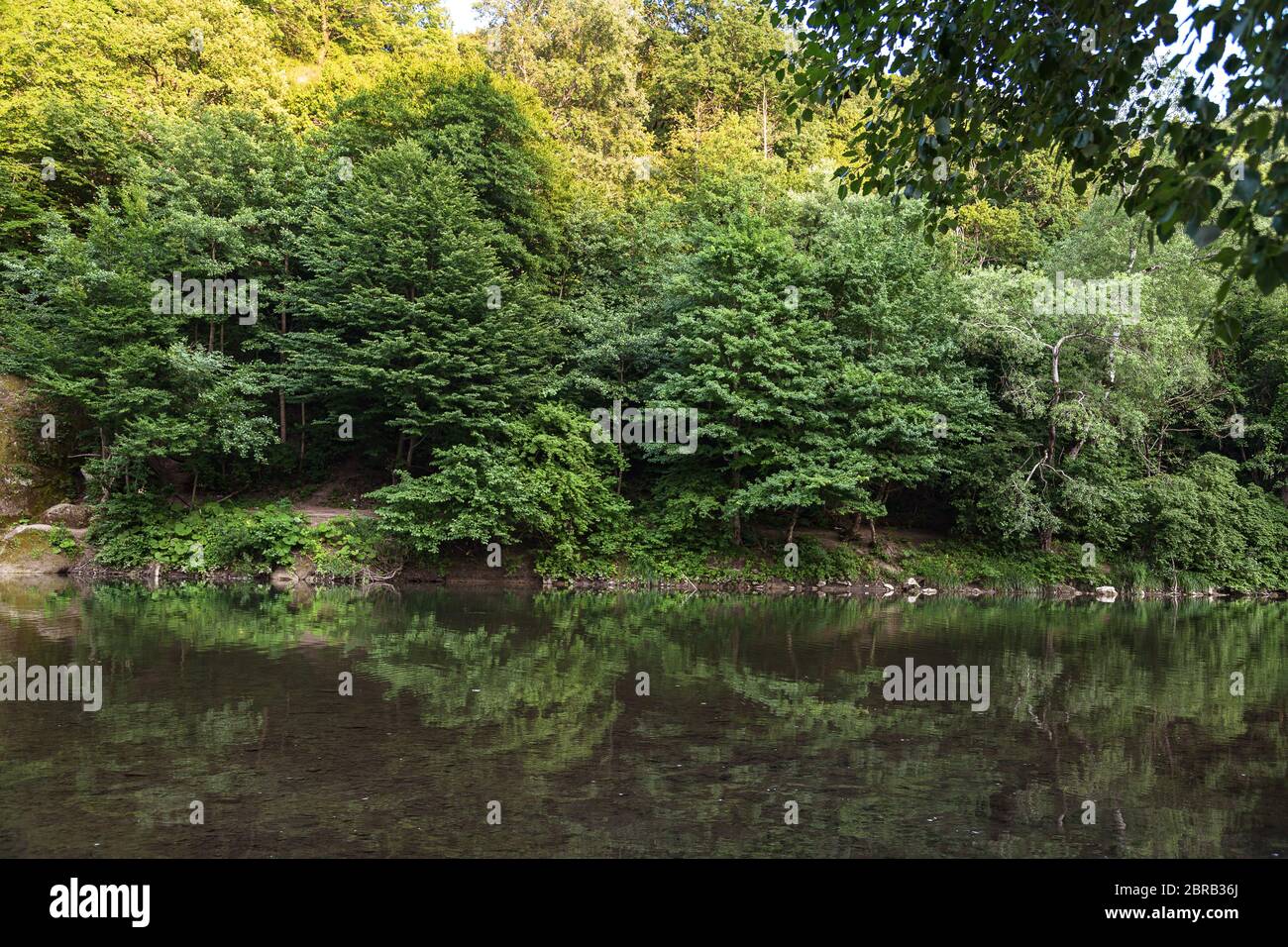 Splendido sfondo avventuroso. Splendida vista nella regione di Krasnodar, Russia. Alberi e montani sul lato. Messa a fuoco morbida. Foto Stock