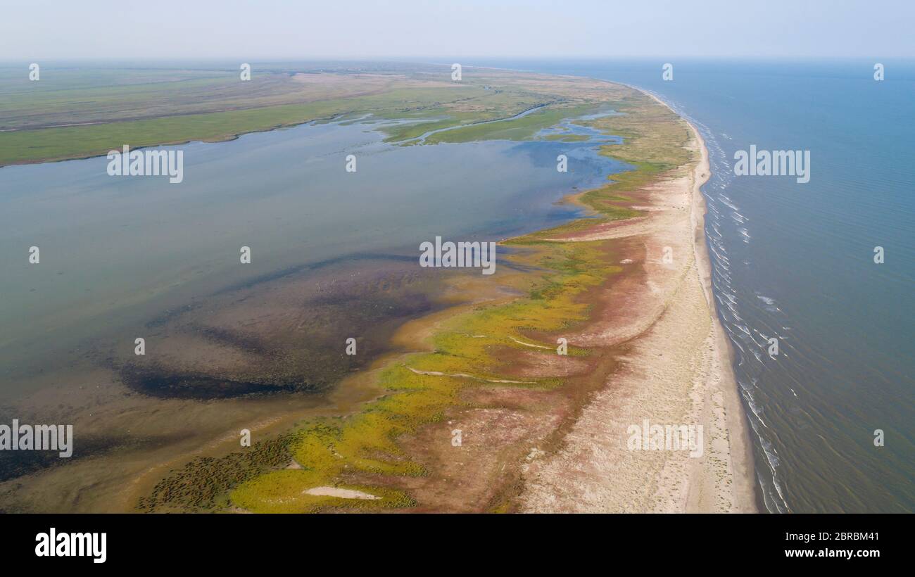 Vista aerea della penisola Sacalin nel delta del Danubio, Romania Foto Stock