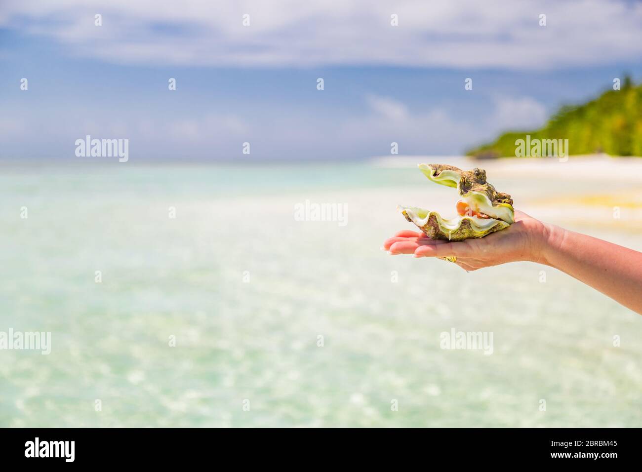 Conchiglia di mare nelle mani della donna sullo sfondo tropicale della spiaggia. Souvenir dell'isola tropicale. Conchiglia in mano femminile. Snorkeling o immersioni subacquee Foto Stock