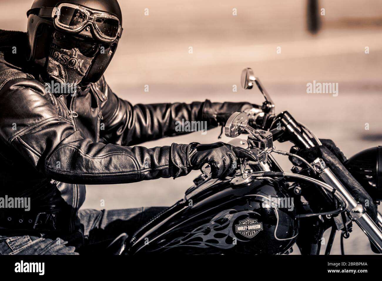 Uomo su Harley Davidson ad Amsterdam Olanda 6-5-2020 Foto stock - Alamy