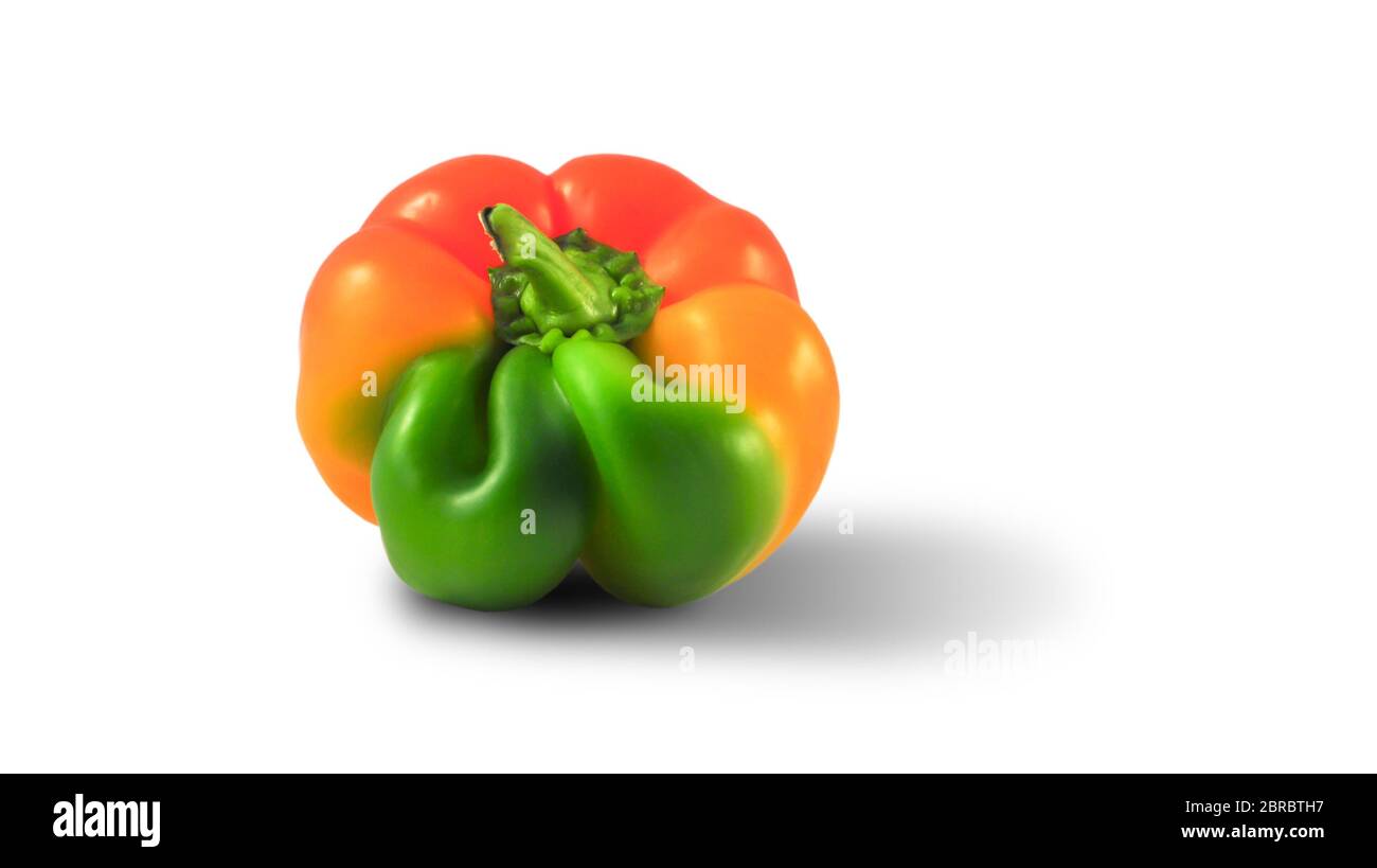 pepe giallo-verde brutto di forma insolita su sfondo bianco, primo piano, orientamento orizzontale, spazio di copia. isolato. Foto Stock