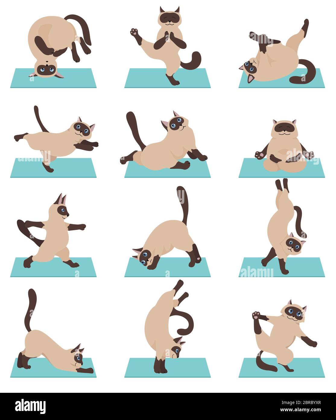 Yoga gatti. Gatti siamesi. Diverse pose e esercizi di yoga. Illustrazione vettoriale Illustrazione Vettoriale