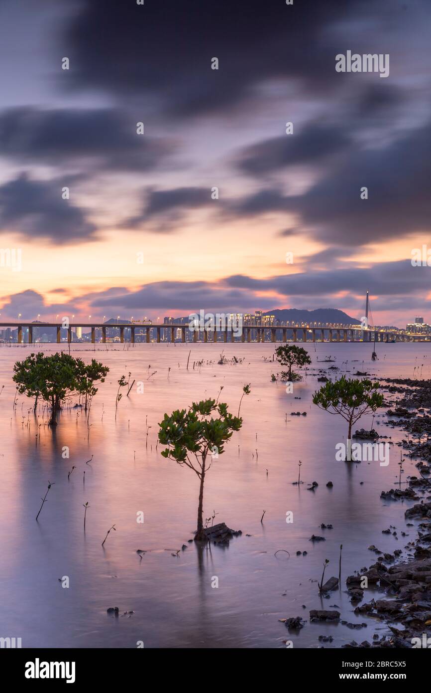 Ponte della Baia di Shenzhen da Lau Fau Shan al tramonto, Hong Kong Foto Stock