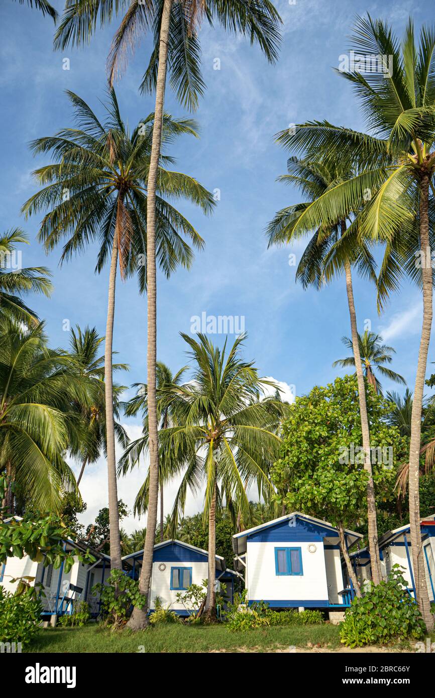 casa sulla spiaggia vicino a palme con vista sulla spiaggia di sabbia Foto Stock