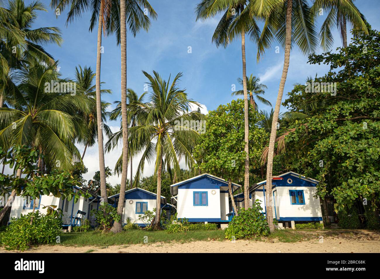 casa sulla spiaggia vicino a palme con vista sulla spiaggia di sabbia Foto Stock