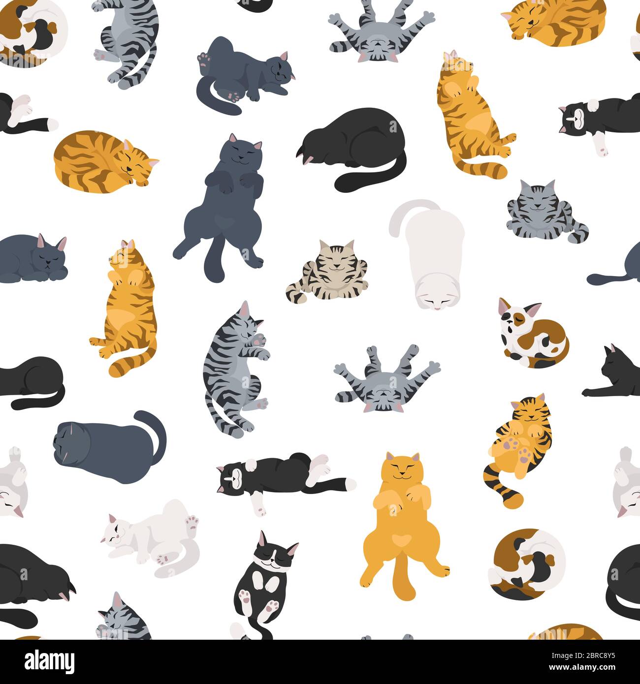 I gatti addormentati pongono un modello senza giunture. Design piatto di diversi colori, stile semplice. Illustrazione vettoriale Illustrazione Vettoriale I gatti addormentati pongono un modello senza giunture. Design piatto di diversi colori, stile semplice. Illustrazione vettoriale Illustrazione Vettoriale