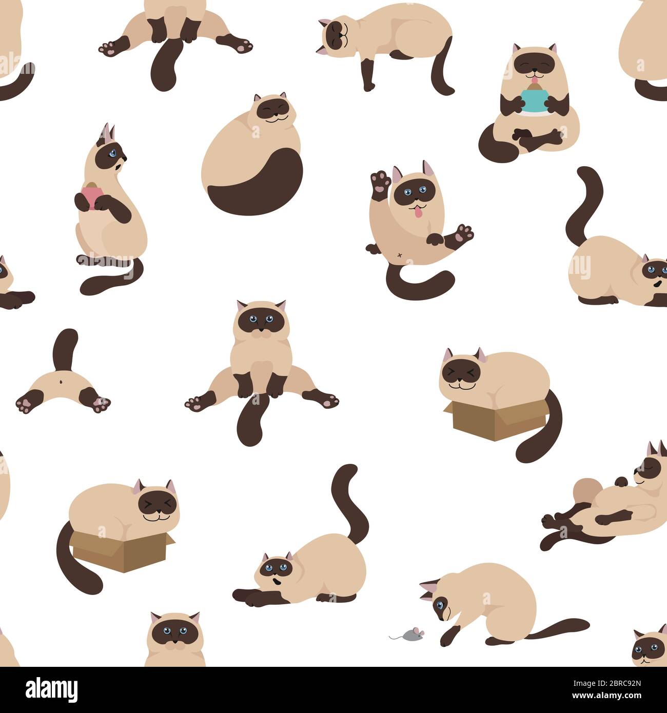 Cartoon caratteri gatto modello senza giunture. Diverse pose di gatto, yoga ed emozioni`s. Design semplice e a colori piatti. Gatti con colorpoint siamese. Vettore Illustrazione Vettoriale