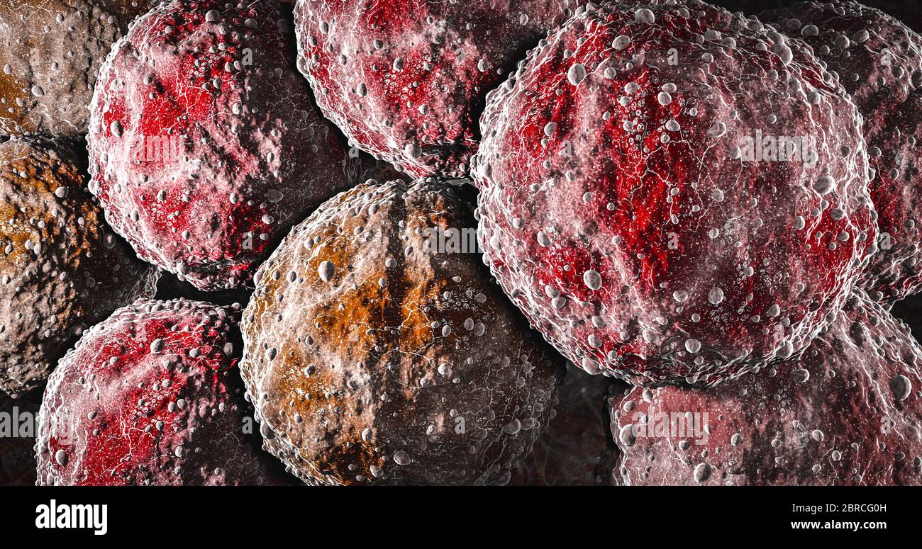 Scienza Foto di batteri UN coccus è un batterio o un archaeon che ha una forma sferica, ovoide, o generalmente rotonda Foto Stock