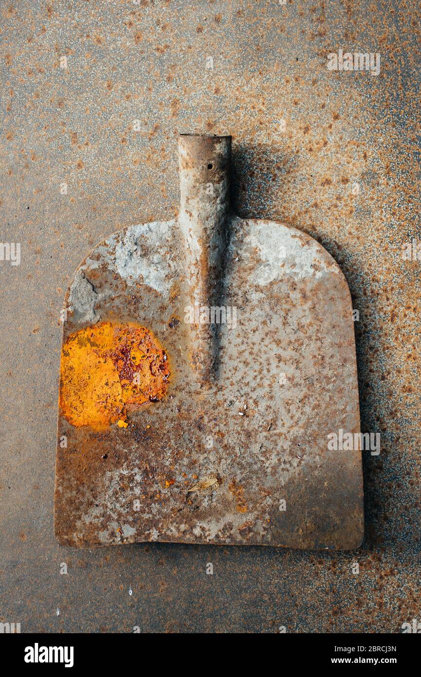 Vecchia pala arrugginita su un foglio di ferro arrugginito. Rottami di metallo. Primo piano. Foto Stock