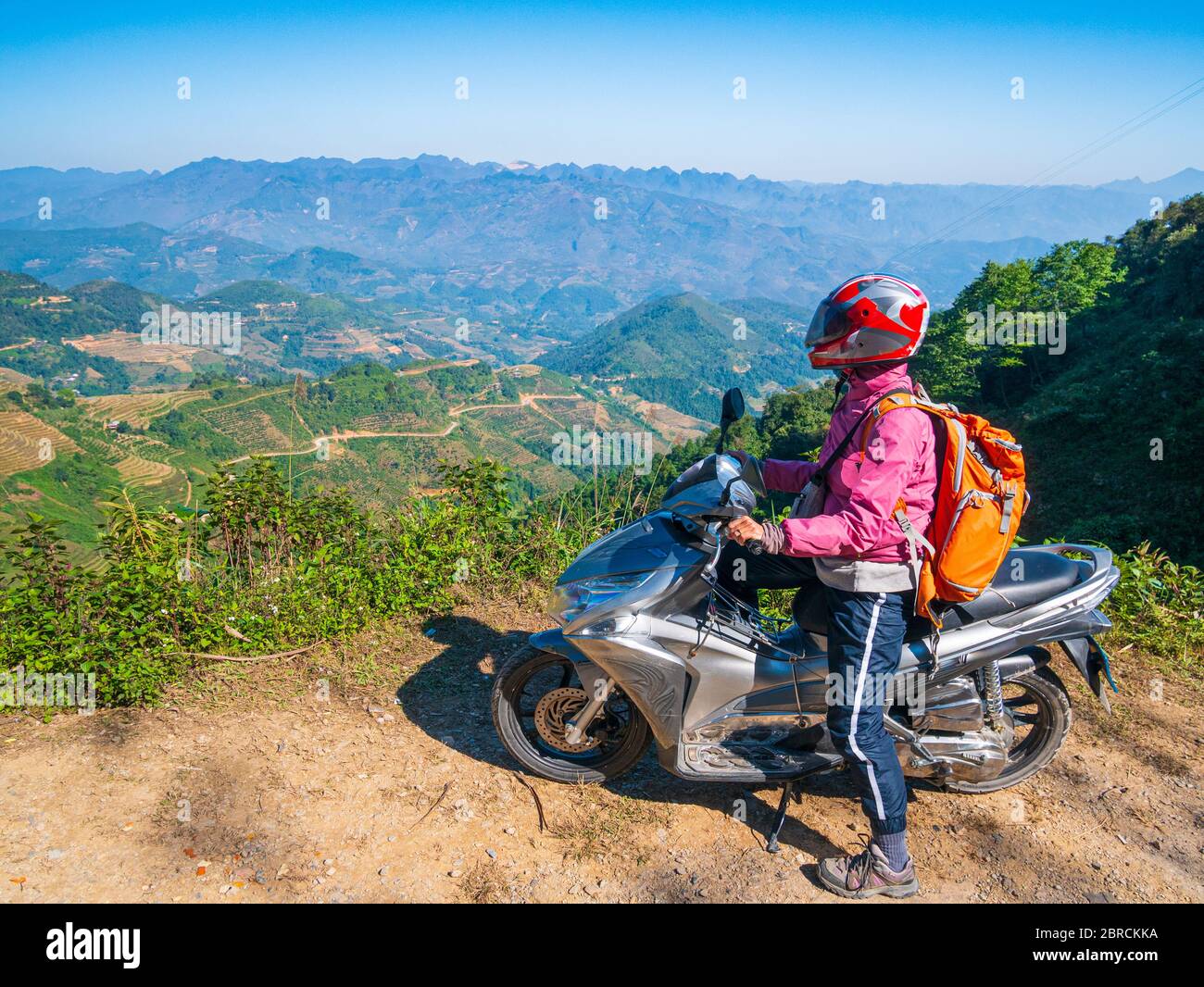 Loop.famosas - www.openvalidation.io