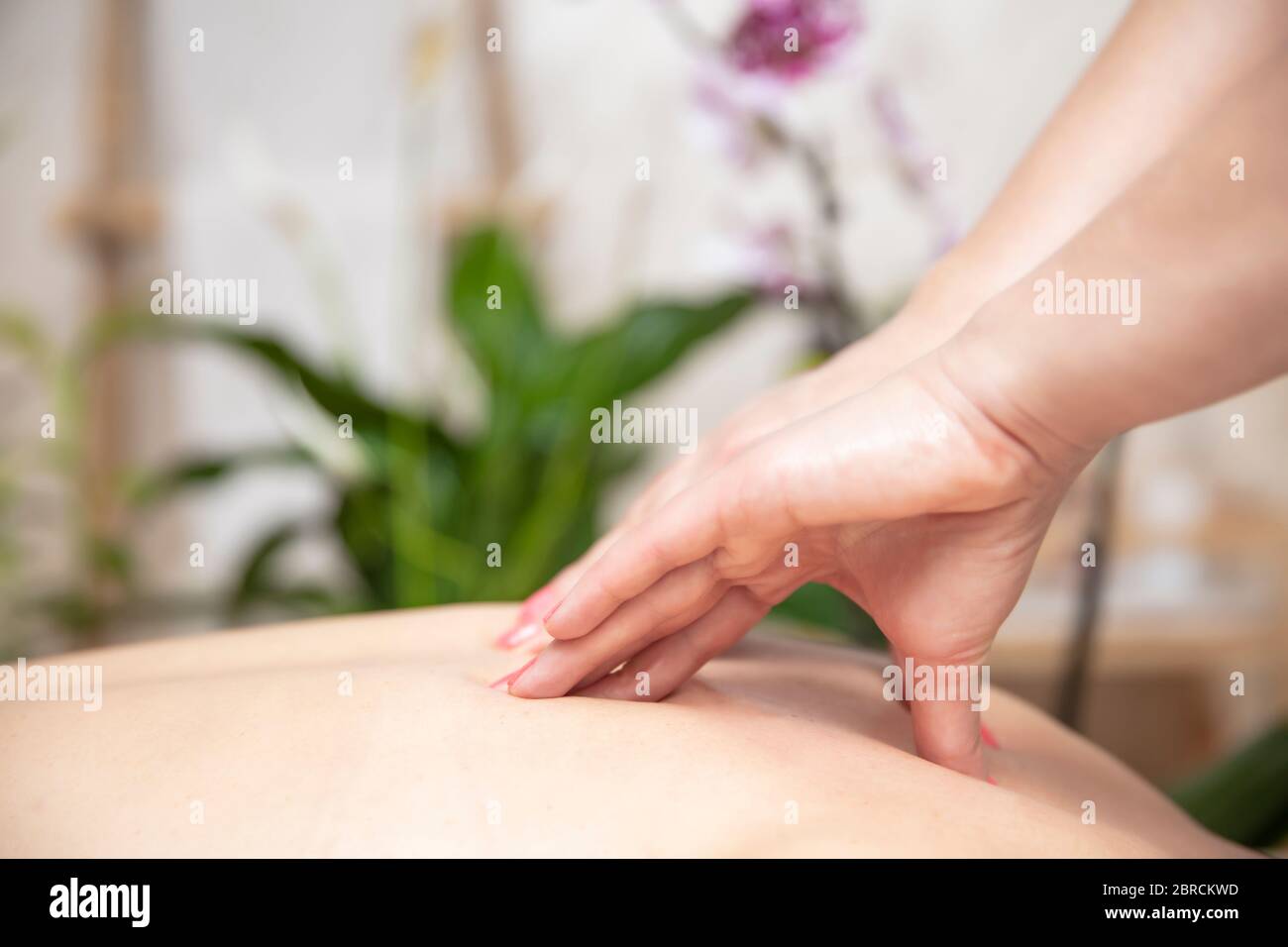 Giovane donna che si rilassa durante il massaggio alla schiena presso il centro termale Foto Stock